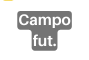 Campo fut